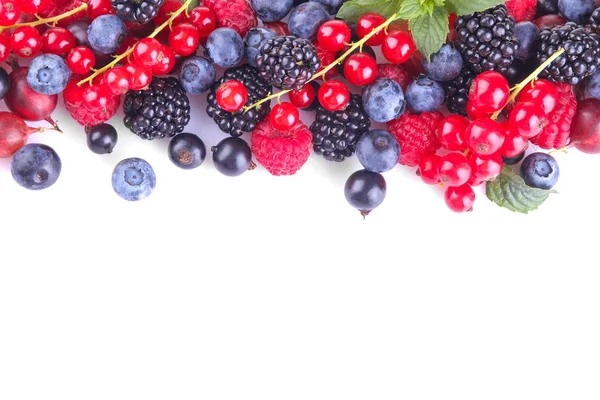 Çeşitli taze yakın çekim dahil böğürtlen, ahududu, böğürtlen ve kuş üzümü beyaz bir arka plan üzerinde meyveleri. izole