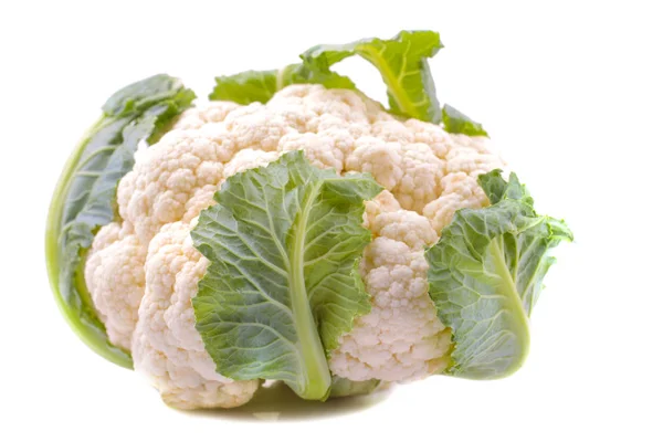 Head Fresh Cauliflower White Background Close Isolated — Stock Photo, Image