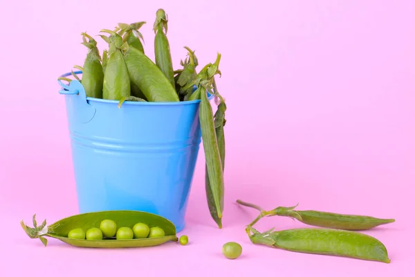 Fresh green peas in a stitch in a decorative blue bucket on a bright pink background