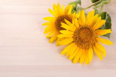 Birkaç güzel sarı ayçiçeği doğal ahşap arka plan üzerinde bir yaprak ile