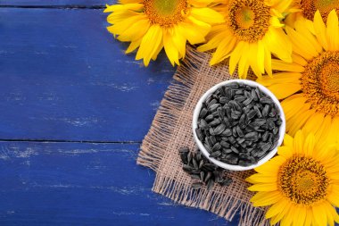 Beyaz bir kase ve mavi ahşap arka plan üzerinde parlak sarı Ayçiçeği tohumları. yazıt için bir yer ile üstten görünüm