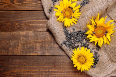 Çuval bezi kahverengi ahşap zemin üzerinde parlak sarı Ayçiçeği tohumları. Yazıt için bir yer ile üstten görünüm