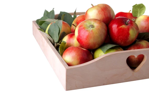 Lot Beautiful Mature Fresh Apples Wooden Tray White Isolated Background — Stock Photo, Image