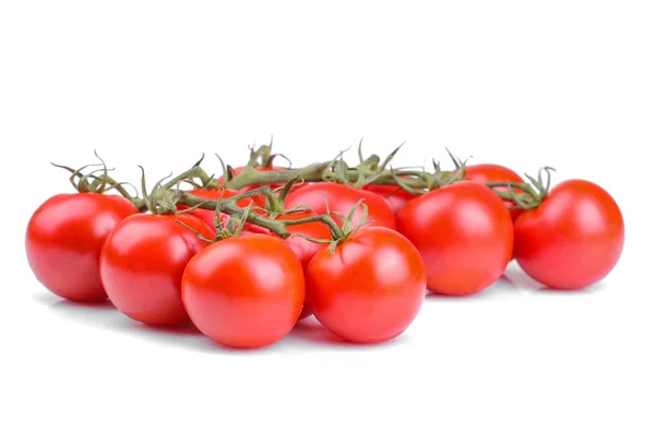 Φρέσκες Ντοµάτες Κόκκινο Ένα Υποκατάστημα Λευκό Φόντο Απομονωμένες Λαχανικά — Φωτογραφία Αρχείου