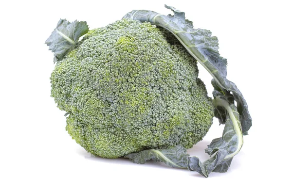 Large Head Fresh Broccoli White Isolated Background Vegetables Close — Stock Photo, Image