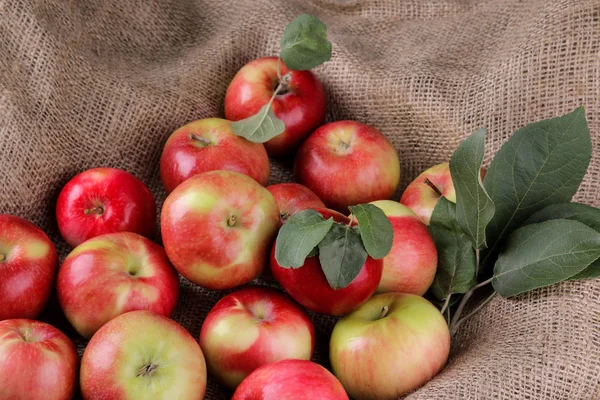 Bir Sürü Taze Olgun Kırmızı Elma Ile Sivas Tan Yapraklarında — Stok fotoğraf