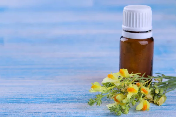 yellow field flowers with a bottle of essential oil on a blue wooden table with a place for inscription