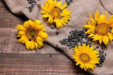 Güzel sarı ayçiçeği ve kahverengi ahşap bir masa üzerinde ayçiçeği tohumu