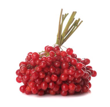 Sonbahar çilek. Kırmızı kartopu paket. Sonbahar zaman. arka plan beyaz izole