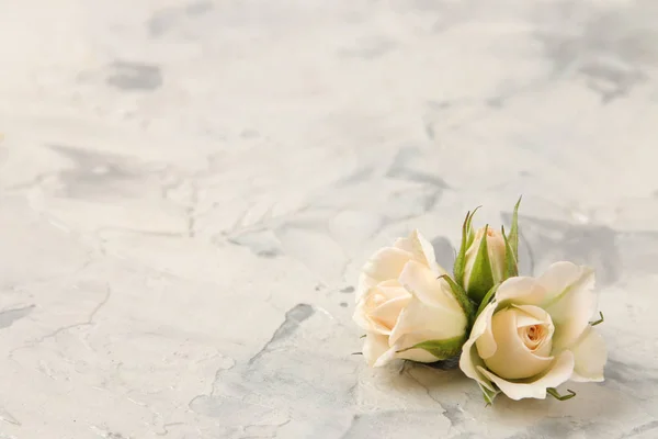 Beautiful booths of beige mini roses on a light concrete table. space for text