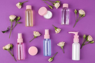 Kozmetik için yüz ve vücut parlak mor zemin üzerine taze gül pembe şişelerde. Spa. üstten görünüm