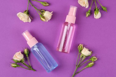 Kozmetik için yüz ve vücut parlak mor zemin üzerine taze gül pembe şişelerde. Spa. üstten görünüm
