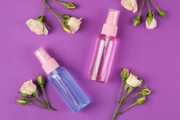 Kozmetik için yüz ve vücut parlak mor zemin üzerine taze gül pembe şişelerde. Spa. üstten görünüm