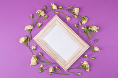 Güzel mini gül ve parlak Lila zemin üzerine bir fotoğraf için bir çerçeve. tatil. Sevgililer günü. Kadınlar günü. yukarıdan görüntülemek.