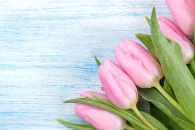 Güzel bir buket Pembe Lale çiçek mavi ahşap arka plan üzerinde çerçeve. metin için yer. Üstten Görünüm. Bahar. tatil.