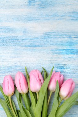 Güzel bir buket Pembe Lale çiçek mavi ahşap arka plan üzerinde çerçeve. Üstten Görünüm. metin bahar için alan. tatil.