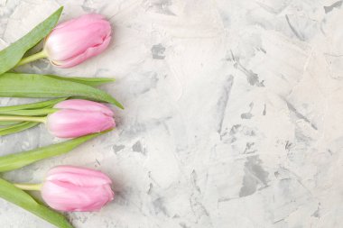 Bir buket güzel Pembe Lale çiçek hafif bir beton zemin üzerine. Bahar. tatil. Üstten Görünüm. boş alan