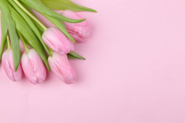 Bir buket moda pembe bir arka plan üzerinde güzel Pembe Lale çiçek. Bahar. tatil. Üstten Görünüm. Ücretsiz yer. çiçek çerçeve