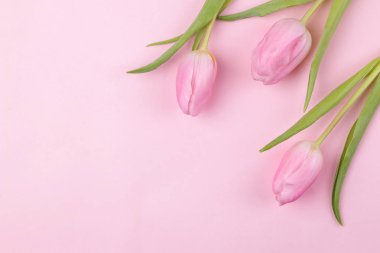 Bir buket moda pembe bir arka plan üzerinde güzel Pembe Lale çiçek. Bahar. tatil. Üstten Görünüm. Ücretsiz yer. çiçek çerçeve