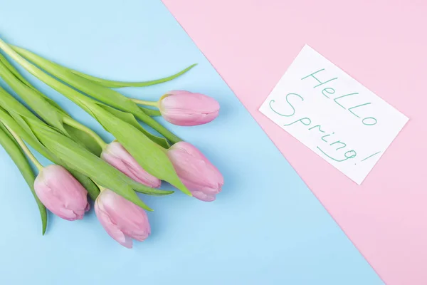 Bouquet Beautiful Pink Tulip Flowers Trendy Pink Blue Multicolored Background — Stock Photo, Image