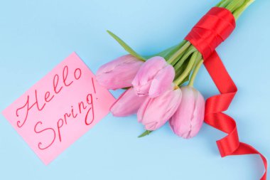 Lale trendy parlak mavi bir arka plan üzerinde güzel pembe çiçekler buket. Bahar. tatil. metin Merhaba bahar. Üstten Görünüm