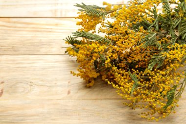 Güzel buket sarı Mimoza doğal ahşap bir masa üzerinde. boş alan. metin için yer