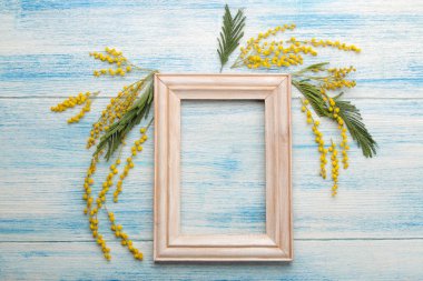 Sarı Mimoza ve çerçeve mavi ahşap bir masa üzerine güzel çiçekler. Üstten Görünüm. metin için yer