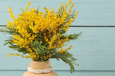 Mavi ahşap arka plan üzerinde seramik vazoda sarı Mimoza güzel çiçekler. Ücretsiz yer.