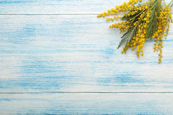 蓝色木桌上的黄色含羞草和框架的美丽花朵 顶部视图 文本的空间 — 图库照片