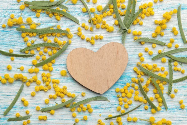 蓝色木桌上的黄色含羞草和一颗木心的美丽花朵 顶视图 — 图库照片