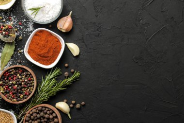 otlar ve baharatlar. grafit siyah arka plan üzerinde çeşitli baharatlar, otlar ve baharatlar. üst görünüm. metin için yer. boş alan