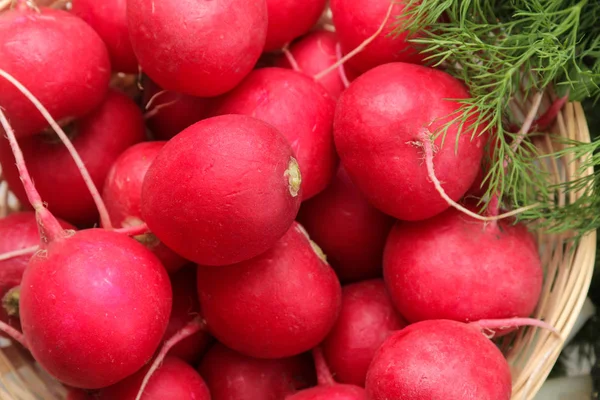 Fresh Radish Spring Fresh Vegetables Radishes Fresh Greens White Wooden — Stock Photo, Image