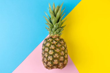 Parlak sarı, mavi ve pembe arka planda büyük olgun meyve ananas. Yaz. üst görünüm.