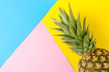 Parlak sarı, mavi ve pembe arka planda büyük olgun meyve ananas. Yaz. üst görünüm.