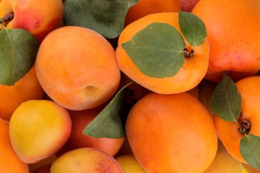 şeftali birçok çeşidin bileşimi. taze meyve şeftali. şeftali arka plan. Close