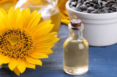 mavi ahşap arka plan üzerinde arka planda güzel sarı ayçiçeği ile ayçiçeği tohumu yağı ve Ayçiçeği tohumları