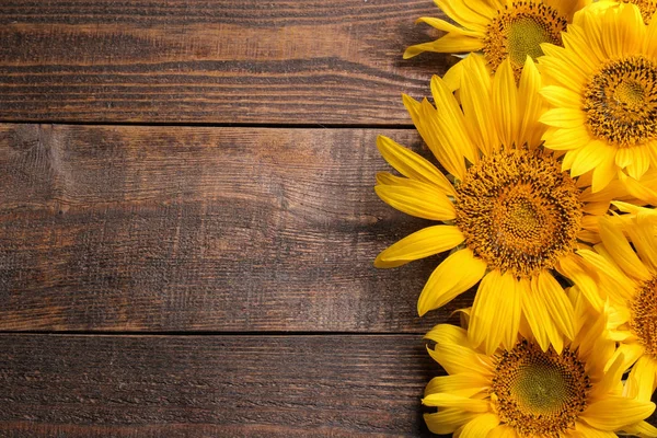 stock image Many beautiful bright yellow sunflowers on a brown wooden background. top view with a place for inscription