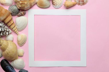 Yaz çerçevesi. Hafif pembe bir arka plan üzerinde metin ve deniz kabukları için kağıt çerçeve. üst görünüm