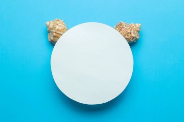 Yaz çerçevesi. Nazik mavi bir arka plan üzerinde metin ve deniz kabukları için kağıt çerçeve. üst görünüm