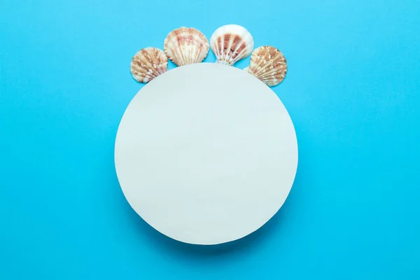 Summer Frame Paper Frame Your Text Seashells Gentle Blue Background — Stock Photo, Image