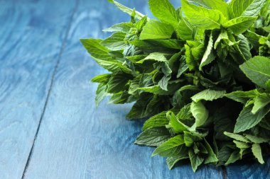 Nane. Yaprakları ve ahşap mavi bir masa üzerinde taze yeşil yabani nane dalları. Close