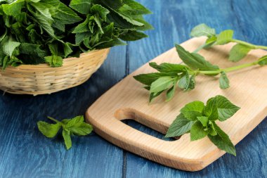 Nane. Yaprakları ve ahşap mavi bir masa üzerinde bir sepet içinde taze yeşil yabani nane dalları.