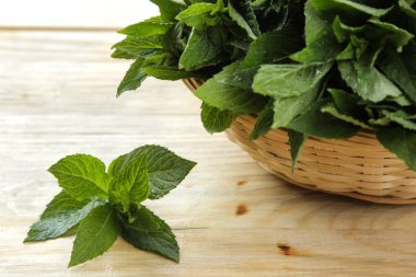 Nane. Yaprakları ve ahşap bir doğal masa üzerinde bir sepet içinde taze yeşil yabani nane dalları. Close