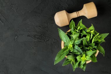 Nane. Siyah beton bir masa üzerinde bir harç taze yeşil yabani nane yaprakları ve dalları. üst görünüm. metin için alan