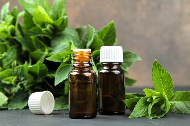 nane aroması yağlar ve yaprakları ve siyah beton masada taze yeşil yabani nane dalları. Close