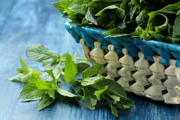 Mint Daun Dan Cabang Mint Hijau Segar Dalam Keranjang Atas — Stok Foto