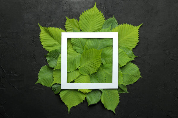 Абстрактная летняя композиция. Рамка для текста из красивых зеленых листьев на бетонном черном фоне. вид сверху
.