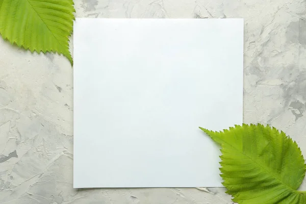 Abstract summer composition. Blank for text and beautiful green leaves on a light concrete background. top view. free place
