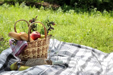 Kamp. Çim gri ekose üzerinde şarap meyve ve diğer ürünler ile piknik sepeti.