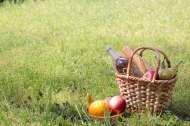 Kamp. Doğada piknik. Şarap meyvesi ve kalın yeşil çim diğer ürünler ile piknik sepeti. Yaz dinlenme